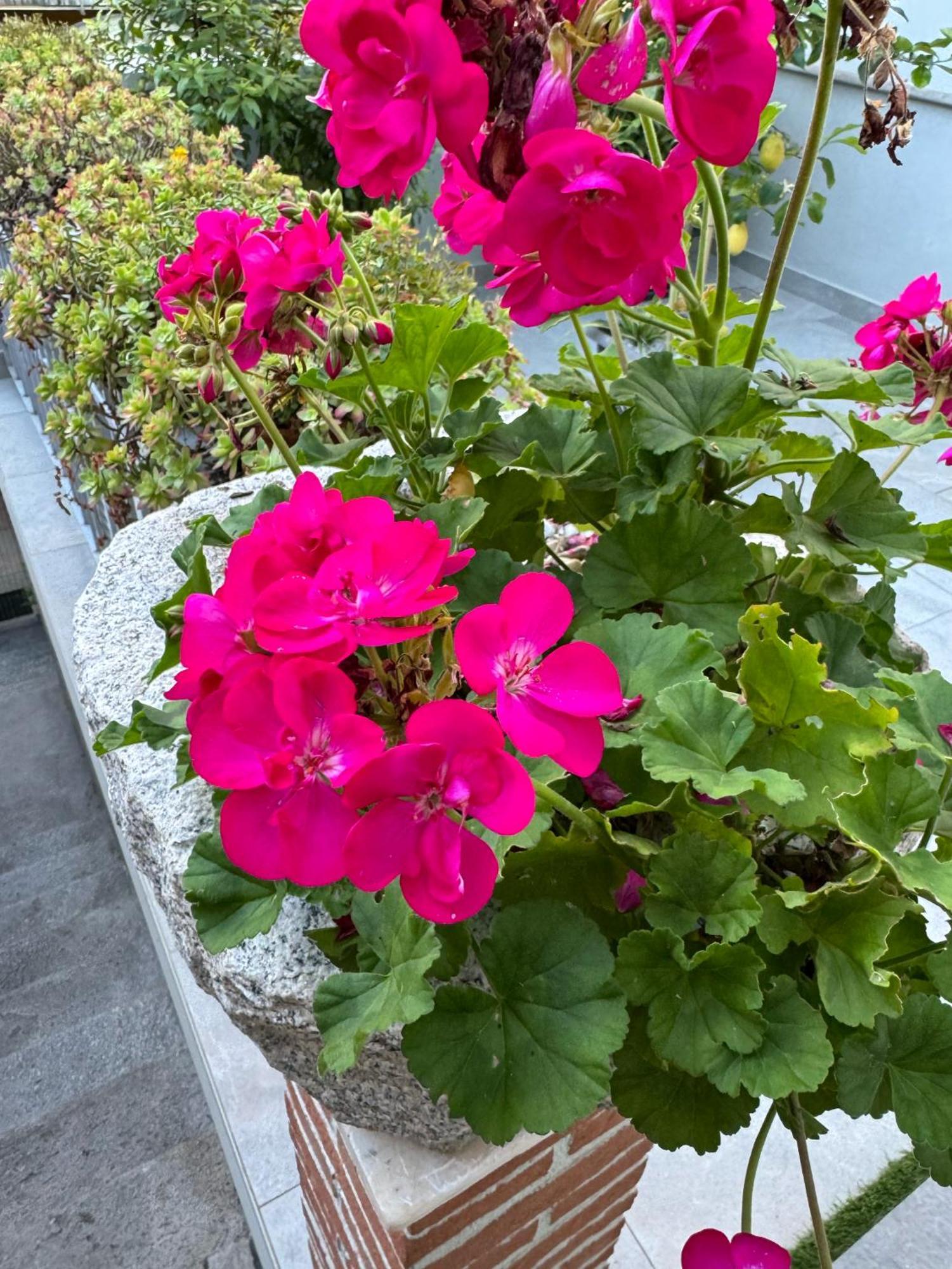 Varese Apartment 외부 사진